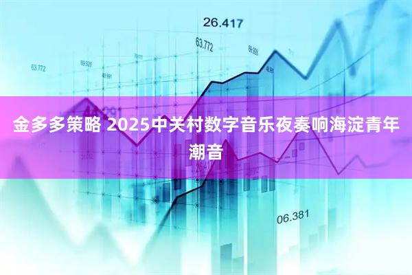 金多多策略 2025中关村数字音乐夜奏响海淀青年潮音