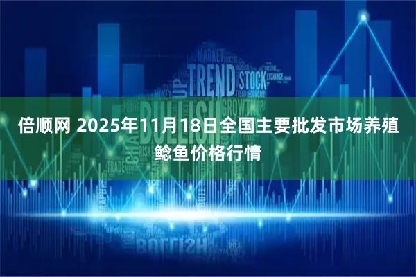 倍顺网 2025年11月18日全国主要批发市场养殖鲶鱼价格行情