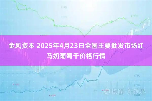 金风资本 2025年4月23日全国主要批发市场红马奶葡萄干价格行情