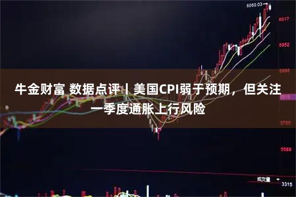 牛金财富 数据点评丨美国CPI弱于预期，但关注一季度通胀上行风险