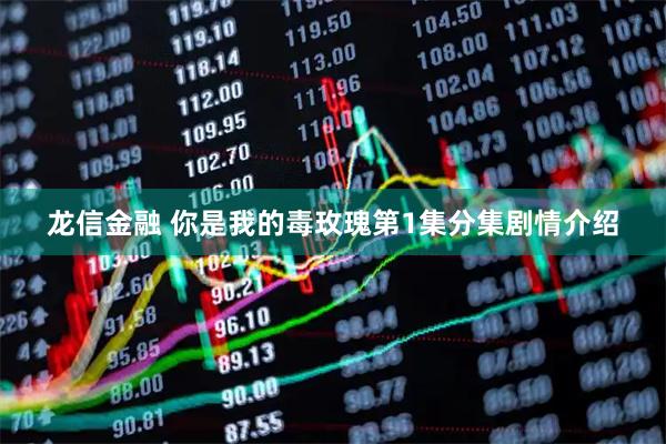 龙信金融 你是我的毒玫瑰第1集分集剧情介绍