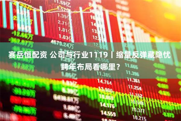 赛岳恒配资 公司与行业1119丨缩量反弹藏隐忧 跨年布局看哪里？